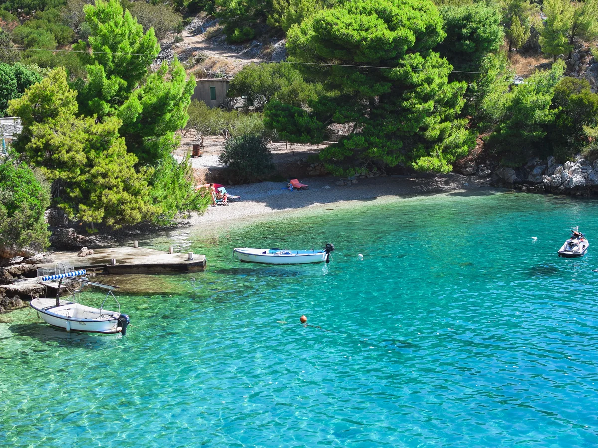 A pine-fringed pebble cove with small boats anchored in clear turquoise water, representative of the day's swim stops